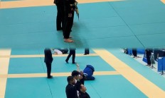 开云体育官网-国际赛事中高手过招，观赏性十足