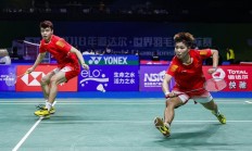 开云体育下载-韩国队轻取马来西亚队，黄鸭组合带队取胜的简单介绍