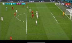 开云体育app-比利时大胜，稳固小组第一位置的简单介绍