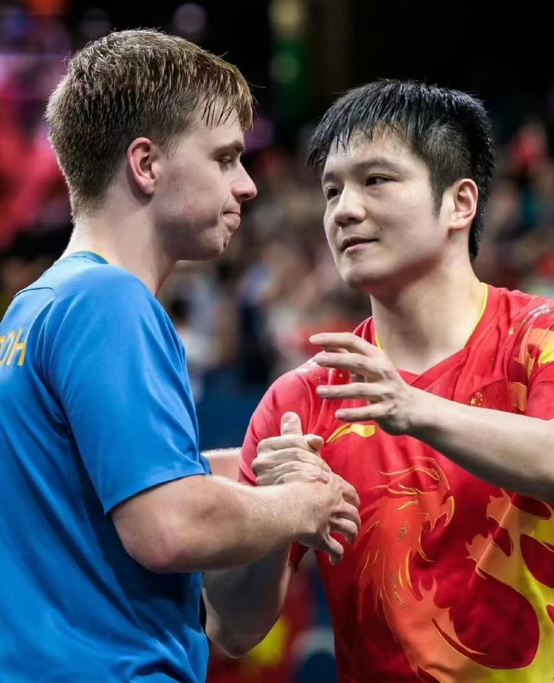 德国乒乓球队力克法国乒乓球队,波尔统治全场的简单介绍 德国乒乓球队力克法国乒乓球队,波尔统治全场的简单介绍