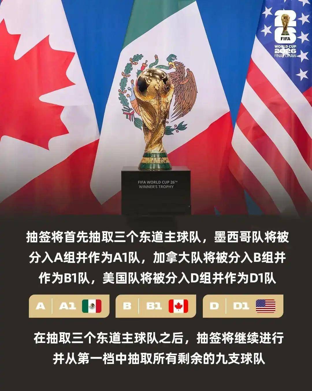 关于卫冕冠军再战欧预赛，能否延续辉煌成绩？的信息