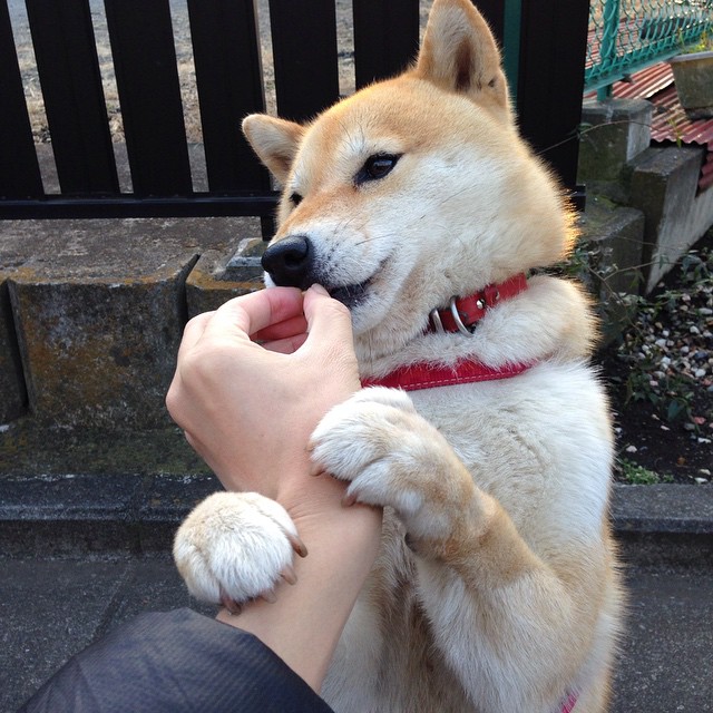 跨界魔术，从篮球场到绿茵场，胜利的唯一法则