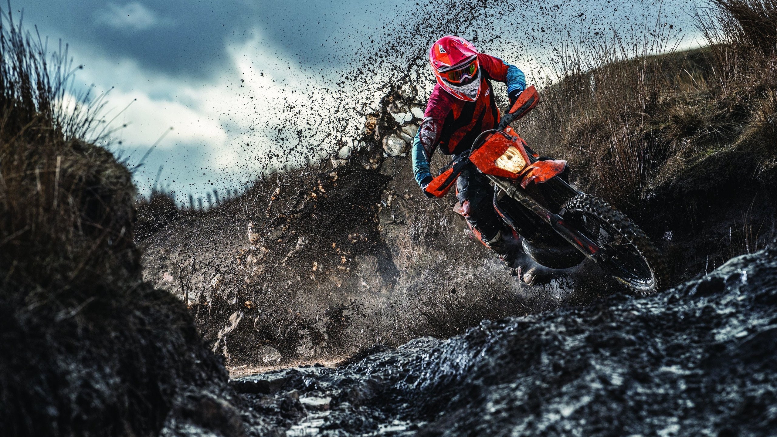 京多安无解破局，葡萄牙铁血防守锁死阿尔及利亚